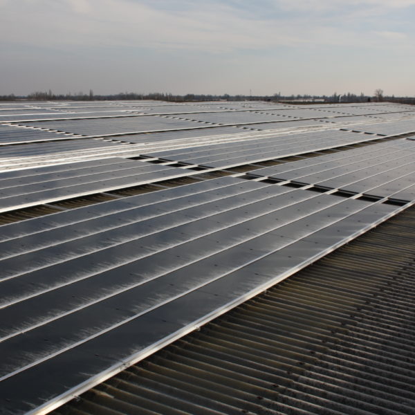 viba lograto- fotovoltaico